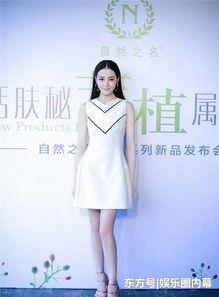 胖迪娱乐圈爆料视频,揭秘明星幕后故事  第2张